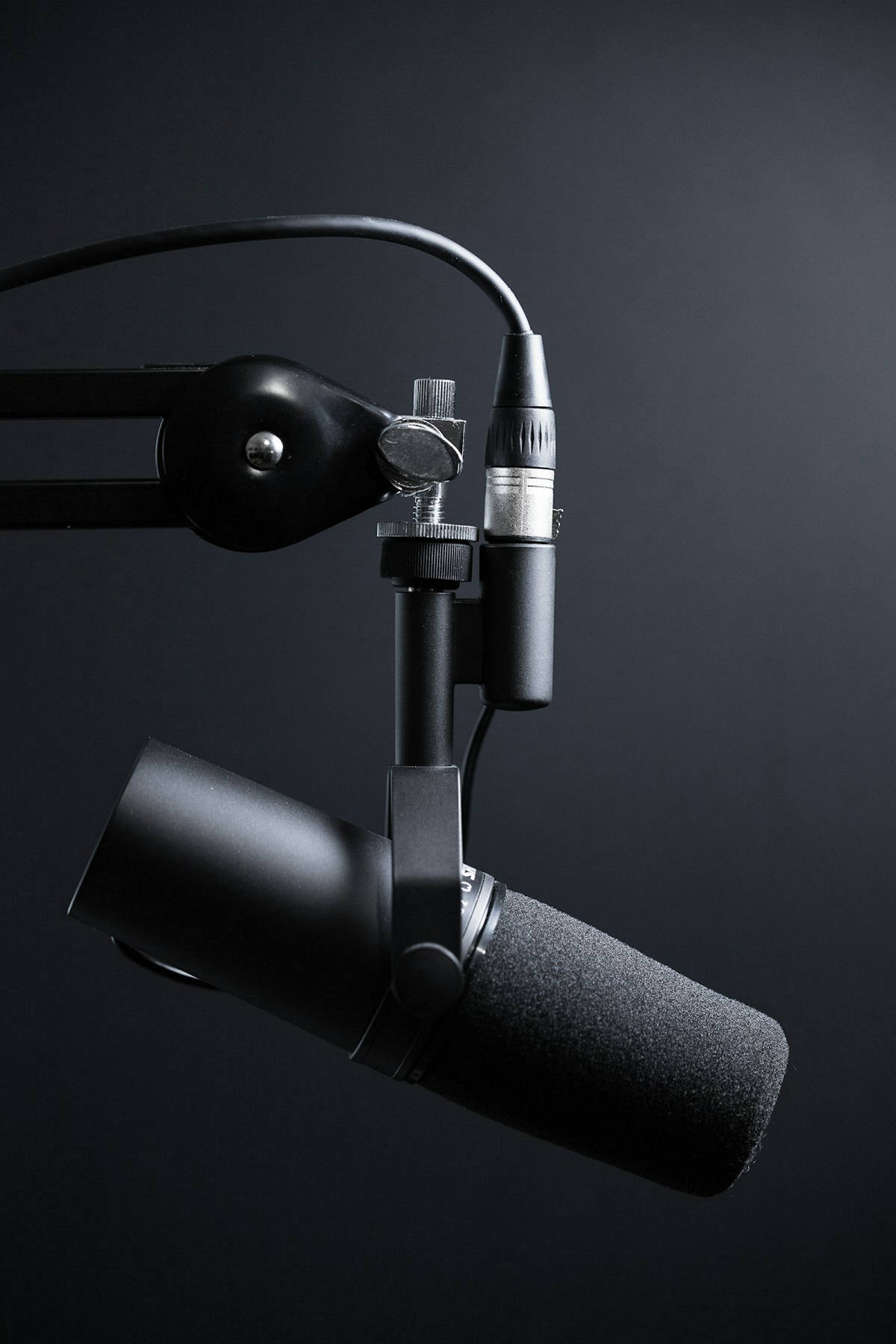 Professional capturing a voice note with a microphone